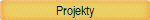 Projekty